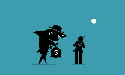 shark l.webp